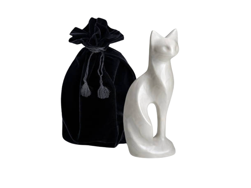 White Standing Cat