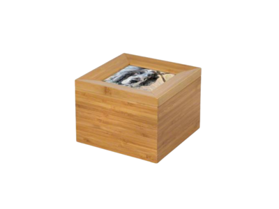 Tribute Boxes