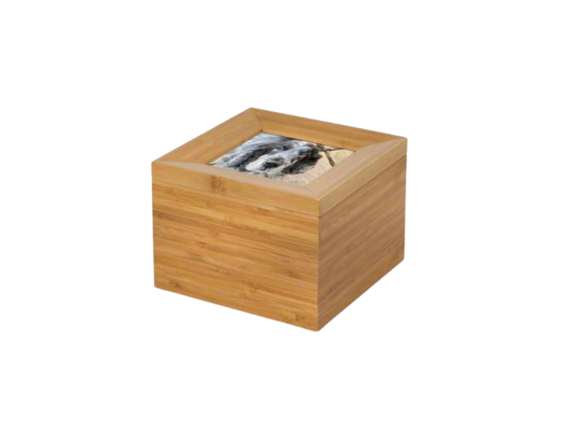 Tribute Boxes