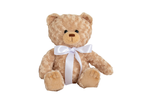 Pet Memory Bear