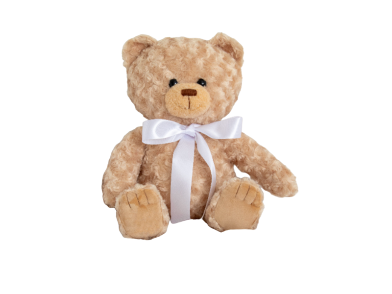 Pet Memory Bear