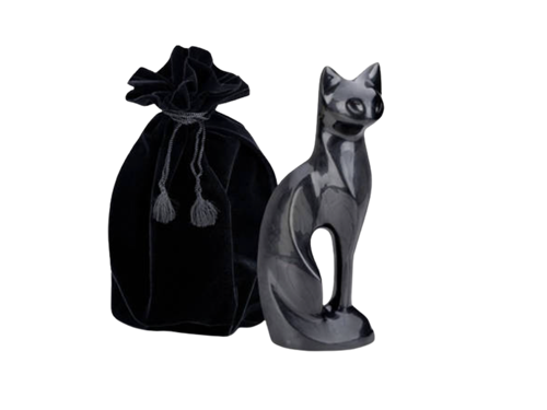 Black Standing Cat