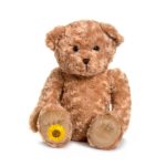 Memory Bear - suitable for storing ashes or mementos of your precious pet