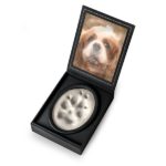 A Lasting Impression - A permanent reminder of your pet's paw print, stored in a photo display case