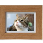 Tribute Photo Frames - A stylish solid wood Pet Photo Frame Urn. Featuring a concealed pet ashes casket behind a photo of your beloved companion.