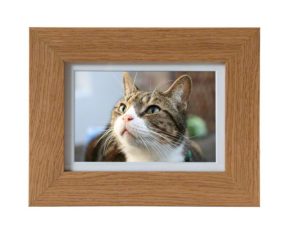 Tribute Photo Frames - A stylish solid wood Pet Photo Frame Urn. Featuring a concealed pet ashes casket behind a photo of your beloved companion.